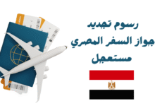 بأقل من 600 درهم ..رسوم تجديد جواز السفر المصري مستعجل