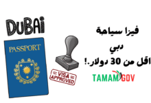 سعر فيزا سياحة دبي أقل من 30 دولار!