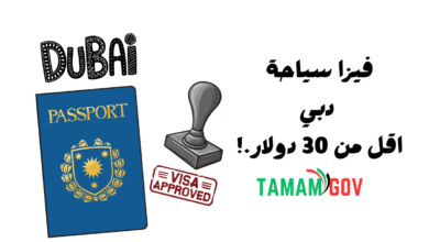 سعر فيزا سياحة دبي أقل من 30 دولار!