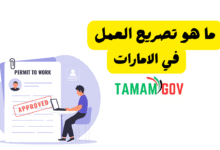3 طرق لاستخراجه ..ما هو تصريح العمل وانواعه في الامارات