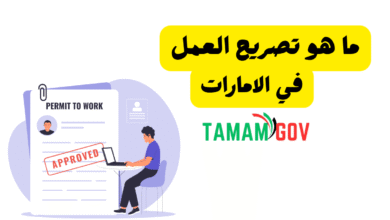 3 طرق لاستخراجه ..ما هو تصريح العمل وانواعه في الامارات