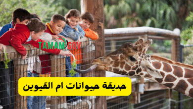10 معلومات هامة اعرفها اولا ..حديقة حيوانات ام القيوين