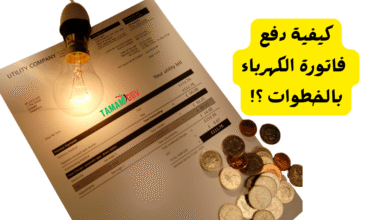 كيفية دفع فاتورة الكهرباء الامارات فـ 10 دقائق