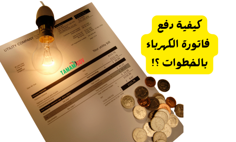 كيفية دفع فاتورة الكهرباء الامارات فـ 10 دقائق