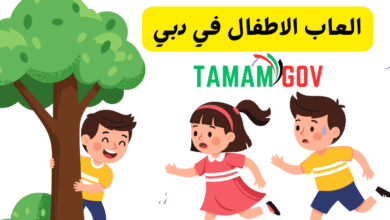 العاب الاطفال في دبي