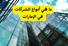 بالشرح التفصيلي ..ما هي أنواع الشركات في الإمارات