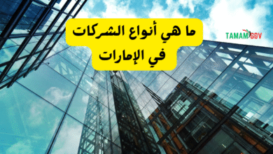 بالشرح التفصيلي ..ما هي أنواع الشركات في الإمارات
