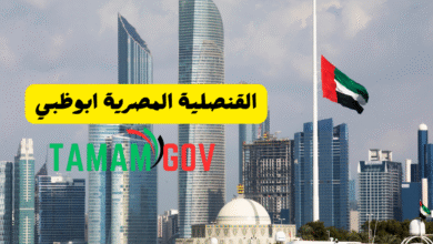 القنصلية المصرية ابوظبي