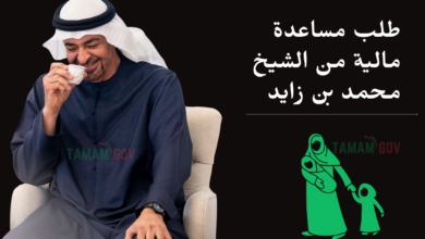 طلب مساعدة مالية من الشيخ محمد بن زايد